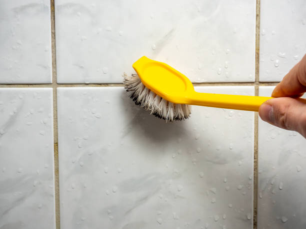 Mold Removal Process in Roswell, GA