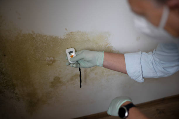 Crawl Space Mold Removal in Roswell, GA