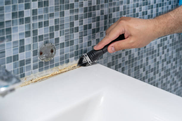 Best Residential Mold Removal  in Roswell, GA