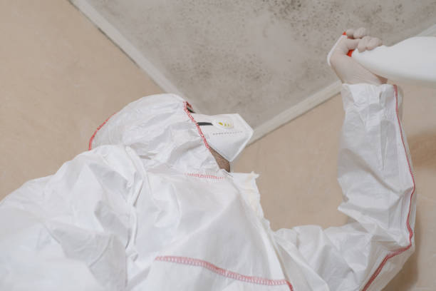 Best Mold Removal Near Me  in Roswell, GA